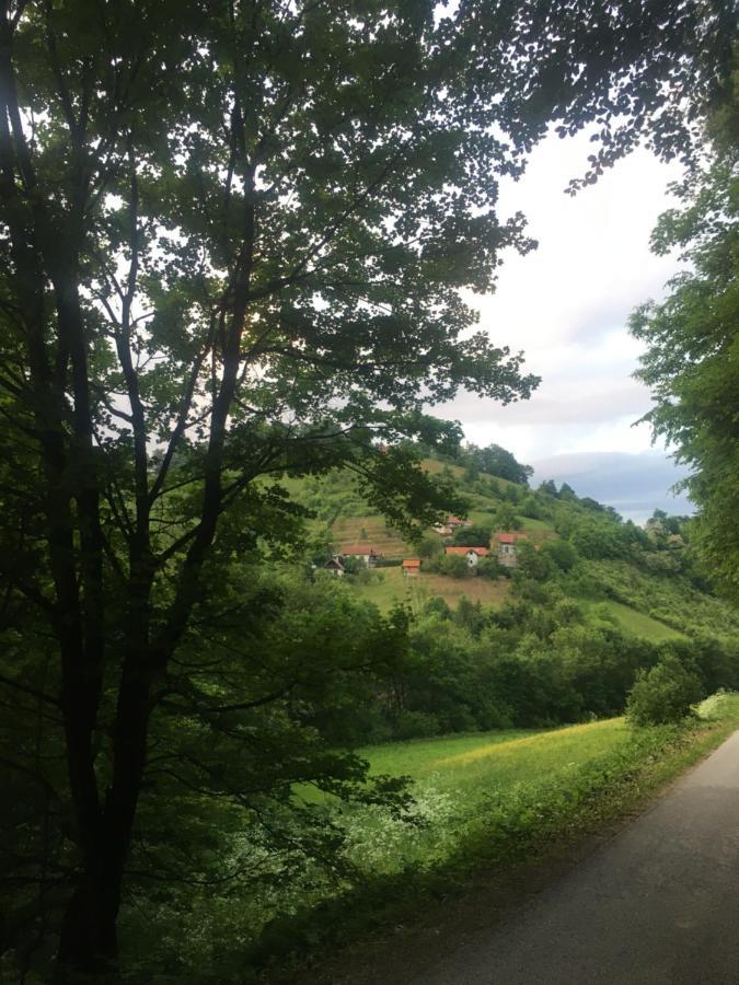 Nicehead Spacious Nest Between Maribor And Celje Loce pri Poljcanah Exterior photo
