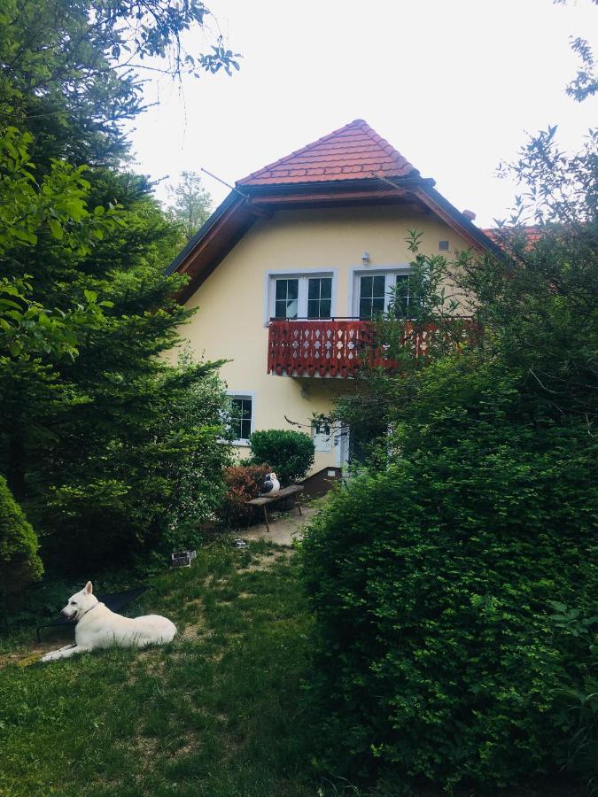 Nicehead Spacious Nest Between Maribor And Celje Loce pri Poljcanah Exterior photo