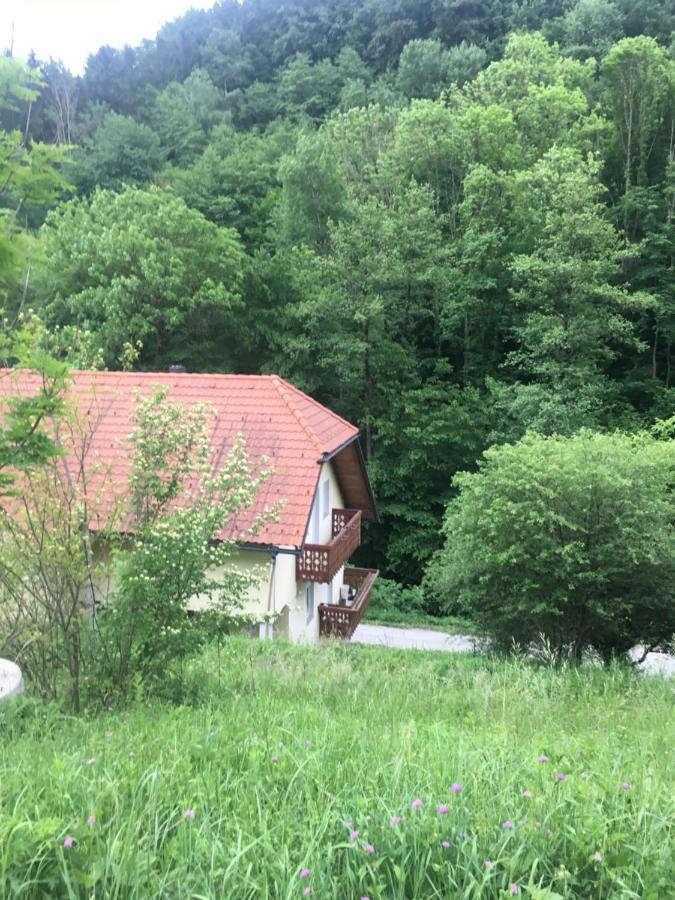 Nicehead Spacious Nest Between Maribor And Celje Loce pri Poljcanah Exterior photo