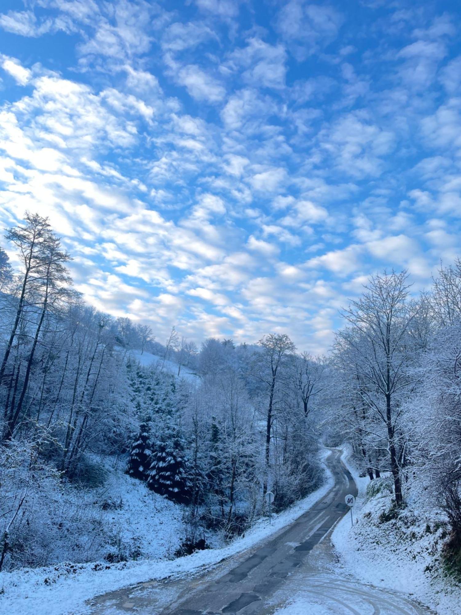 Nicehead Spacious Nest Between Maribor And Celje Loce pri Poljcanah Exterior photo